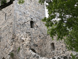 Church Ruined old Brick Cathedral Ruins in Sweden Scandinavian Ancient Medieval Fortress Gray stone Tower damaged abandoned Castle building on a summer day in the forest