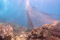 Abandonded ghost fishing net on coral reef