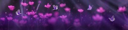 Night summer meadow with violet flowers and flying butterflies in light of moon rays. Beautiful nature panoramic banner in dark tones.
