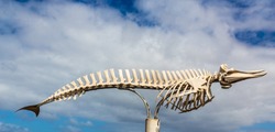 Whale Skeleton - El Cotillo, Fuerteventura, Canary Islands, Spain