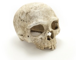 Old jawless Human Skull isolated against white background. Anatomy illustration. Medical image. Sign of death. Symbol of dying. Ceramic.