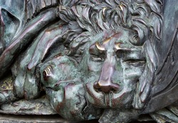 head of a bronze lion. bronze sculpture of a sleeping lion on the monument of glory in Poltava, Ukraine