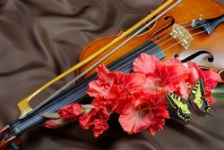 violin, gladiolus flowers and swallowtail butterfly on silk background. 