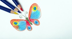children's drawing with colored pencils. drawing of a bright tropical butterfly with pencils.
