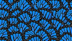 monarch butterfly wings. abstract pattern of tropical monarch butterfly wings. abstract blue background.