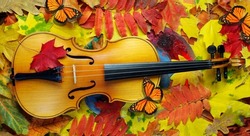 colorful autumn background. autumn fallen leaves, violin and bright monarch butterflies.