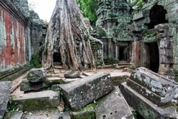 Temple in the jungle in the Angkor Wat complex in Cambodia
