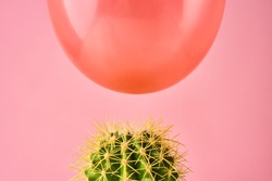  Red balloon fall on cactus needle on pink background. Danger or protection concept