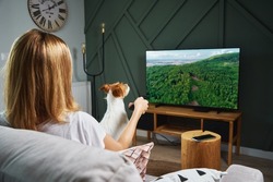 Woman resting at home. Person watch TV set on the sofa and switch channels with remote control