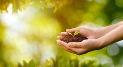 world environment day concept: planting trees to save the world with human hands holding small trees over blurred agricultural field background