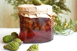 Young pine cones jam. Useful and tasty dessert