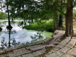 Greenfield Lake Wilmington NC, Lake view, trees, swamp cypress, southern bald cypress, stone side walk, alligators lake, stone path, dog friendly park, biking park, walking trails, azaleas park