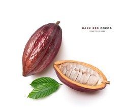 Top view of Dark red cocoa pods with half sliced isolated on white background.