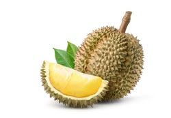 Durian fruit with slices isolated on white background.