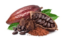 Cocoa ingredients with cocoa beans, fresh cocoa pod and cocoa mass isolated on white background.