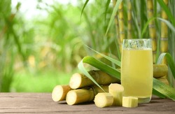 Fresh squeezed sugar cane juice with sugar cane plantation farming background.