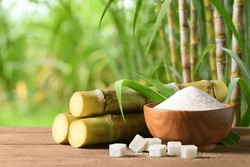White sugar with fresh sugar cane on wooden table with sugar cane plantation farming background.