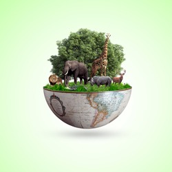 world wildlife by Animal's on earth, wildlife concept, environment day, World Habitat & wildlife day, 3rd March , 21th, world day of endangered species,  world Forest and biodiversity day,