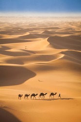 Aerial View Of Camel Caravan In The Sahara Desert