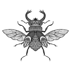 Sketch decorative bug with hand drawn ornament black vector illustration