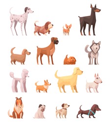 Dog breeds retro cartoon icons collection with husky poedel collie shepherd and dachshund dog isolated vector illustration 