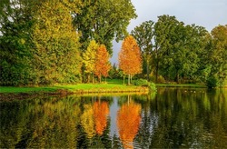 The autumn foliage of the trees is reflected in the pond. Autumn pond trees. Autumn trees reflection in water. Autumn nature landscape