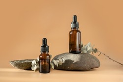Glass dropper bottles with cosmetic oil, essential or serum and green moss isolated on stone stand on pastel background with branch eucalyptus Herbal homeopathic products Natural organic spa cosmetics