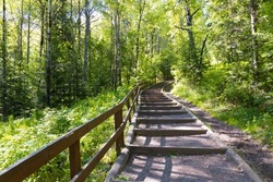 Empty forest path equipped with gravel steps and wooden handrailings for tourists. Ascending trail in Nature park reserve in sunny day. Summer forest landscape