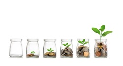 Money saving growth concepts. Glass jar with coins and plants growing on white background.
