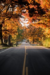 A countryside road running through a thick forest of autumn fall colored trees in the midwest