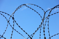 Barbed wire on blue sky background. Concept of boundary, prison, war or military base