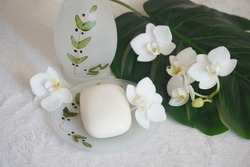 Beauty care background with skin and body equipment decorated with orchid flowers and philodendron leaf