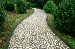 Stone pathway in the park. Stone path made from a pebble. Path surround with green plants.