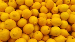 Yellow lime pile which can be used as background, texture and misc purposes for food industry