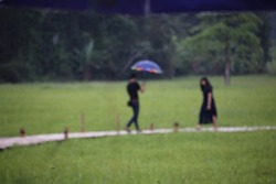 Blurred image of a woman and a man walking with an umbrella on a rainy day On a wooden bridge in the middle of a green field.