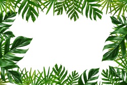 Group of green leaf frame on white