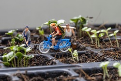 Miniture people cyclist and miniture gardeners with planting tree background.
