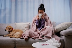 Young sick woman covered with blanket lying on sofa with her small dog and drinking hot tea, suffering from seasonal flu or cold. Ill girl feel unhealthy with influenza at home