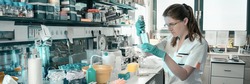 Young scientist works in modern biological lab, toned image