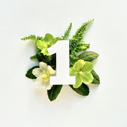 Number one cut out of white paper. White and green helleborus winter rose flowers, fern leaves. Floral arrangement, square flat layout with 1 on white paper. Monochromatic look, floral design element.