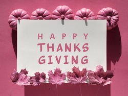 Pink fuchsia paper background with Autumn decor. Text Happy Thanksgiving in frame. Monochromatic flat lay, magenta pumpkins. Hand with dry Fall leaves painted metallic pink.