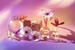 Biophilia design background. Beige, purple toned image. White gerbera flowers and exotic leaves. Transparent glass jars, bottles. Reflections, distorted floral elements. Natural sunlight, long shadows