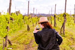 Girl in a hat with a glass of red wine in her hands and a bottle. Girl in the vineyards at sunset. Italian province and hills. Selective focus.