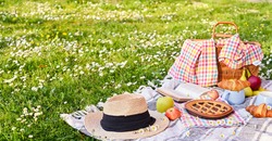 Picnic basket on the green grass in the park. Delicious food for lunch outdoors. Sweet pastries, drinks and fruits. Nice day in summer. High quality photo. Copy space