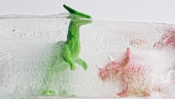 Toy dinosaurs frozen into the ice block. Educational teaching concept of ice age, extinction of dinosaurs due to climate change. Close-up