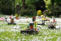 small urn graves with lanterns in a spring meadow covered with daisies
