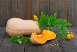 Fresh, ripe butternut pumpkin on wooden background. Butternut squash with plant leaves and flowers. Healthy vegetable.
