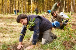 Foresters and volunteers planting trees in the forest as an environmental protection project