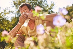 Man sneezing into handkerchief with hay fever in a blooming summer meadow
