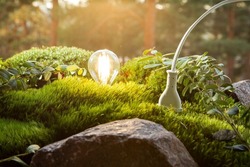 Green forest with moss and grass with lightbulbs. Electric plug with wire plugged into ground. Sustainable and eco friendly energy sources. Earth energy concept. 
